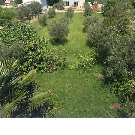 Palma Relaxation In A Quiet Location Ideal For Leisure Activities Gæstehus 3*