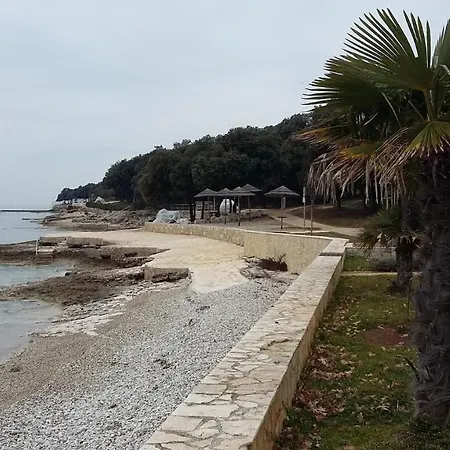 Palma Relaxation In A Quiet Location Ideal For Leisure Activities